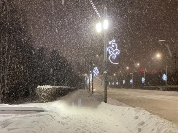 МЧС Прикамья предупреждает о сильных снегопадах 30 января