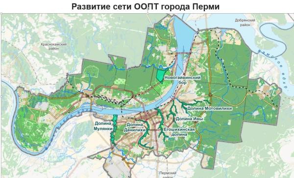 Работы по благоустройству Черняевского леса в Перми закончатся летом 2024 года