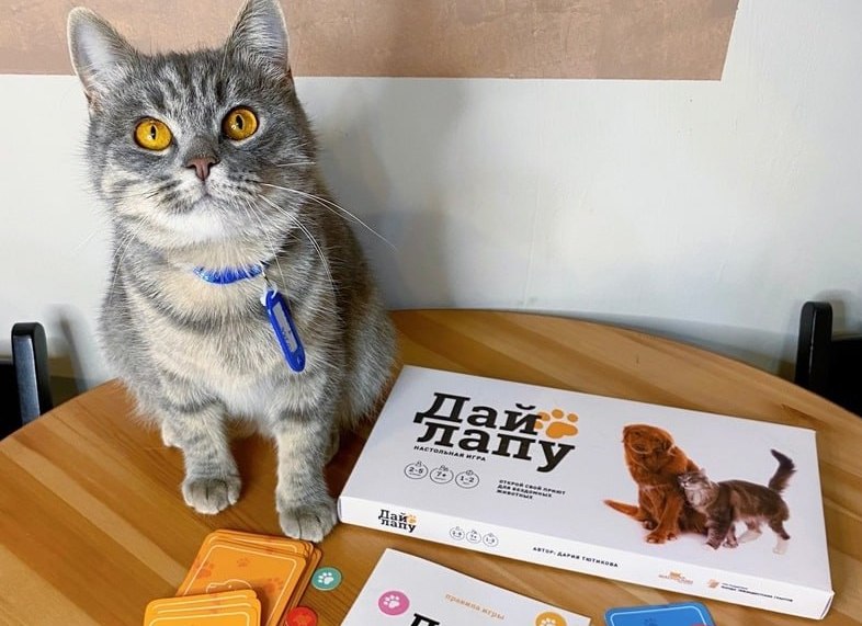 «Матроскин» выпустил собственную настольную игру