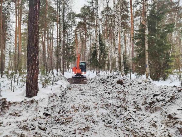 В Черняевском лесу Перми началось строительство беговых дорожек 