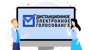 В ЦИК поступила заявка от Пермского края на участие в электронном голосовании 