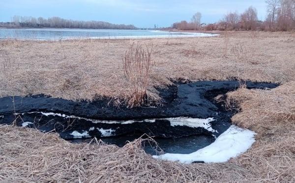 В Пермском крае проводится проверка по факту загрязнения Камы в Чайковском