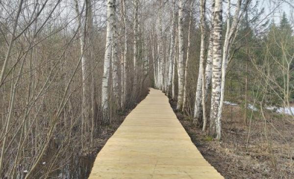 В Черняевском лесу заканчивается установка деревянных настилов