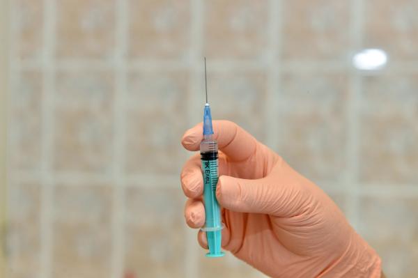 В Пермский край поступила вакцина от клещевого энцефалита