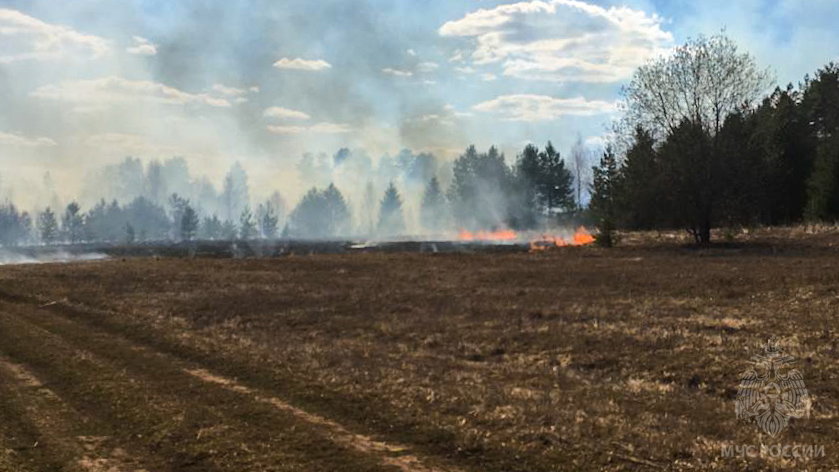 Дома в посёлке Прикамья сгорели из-за упавшего от ветра электрического столба