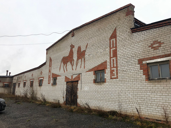 Власти Прикамья продают здания бывшего конного завода № 9