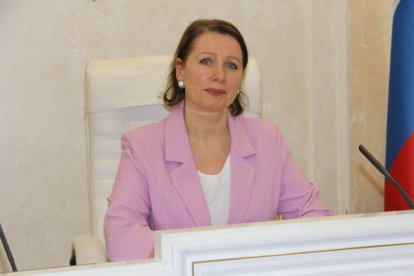 Совет по развитию медиации в Пермском крае возглавила Ольга Владыкина