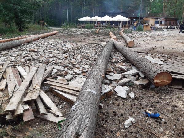 Представители Пермской природоохранной прокуратуры осмотрели место вырубки деревьев в Черняевском лесу