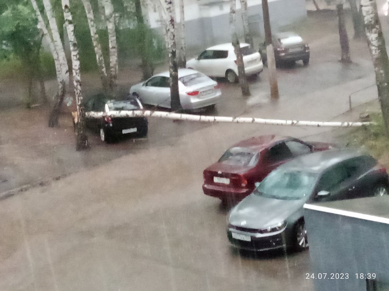 В Чайковском от шквалистого ветра на дороги повалило деревья