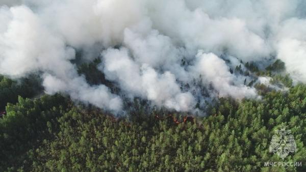 Под Краснокамском полыхает лесной пожар