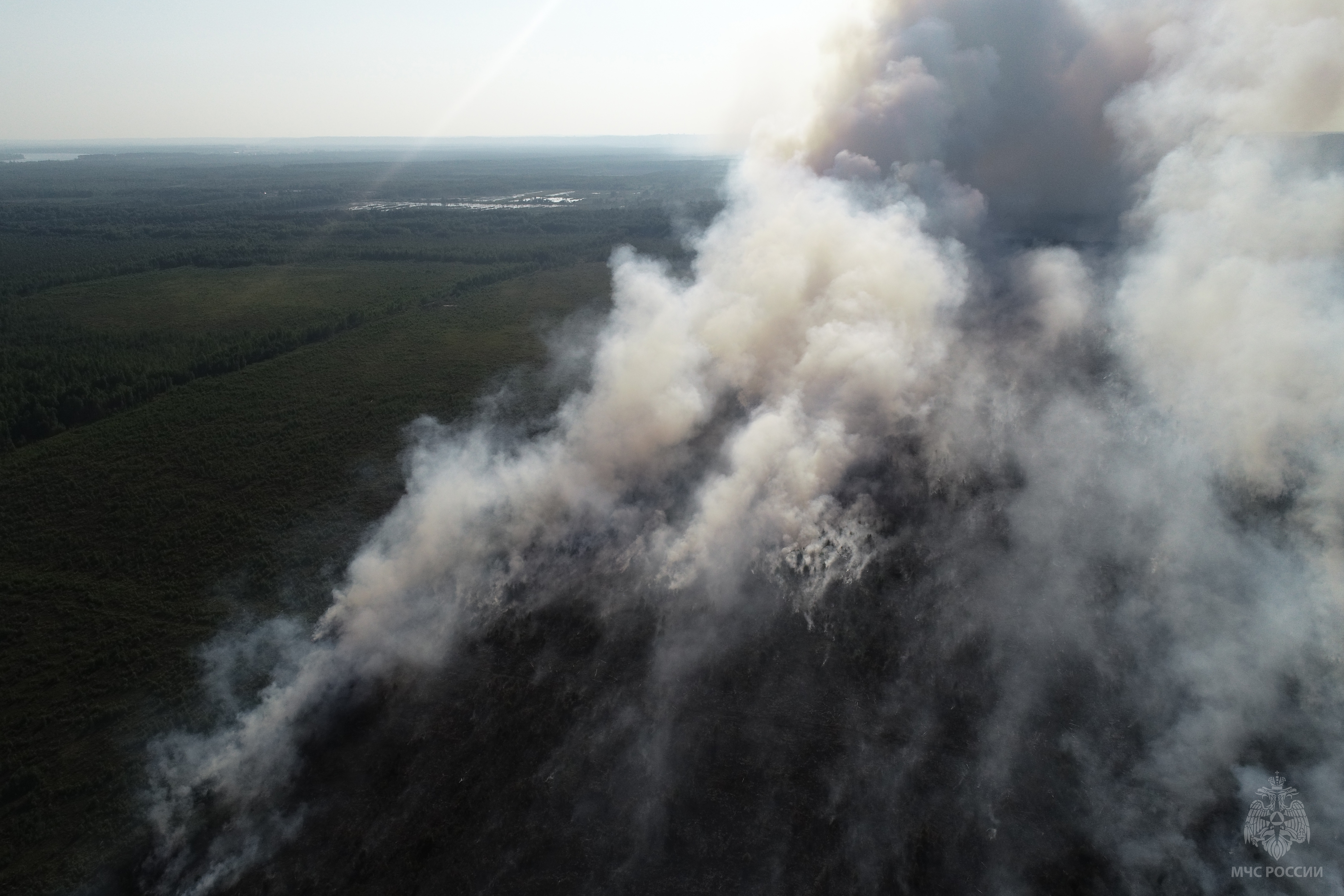 Под Краснокамском горит лес на площади 84 гектара 