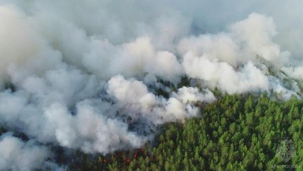Крупный лесной пожар под Краснокамском локализован