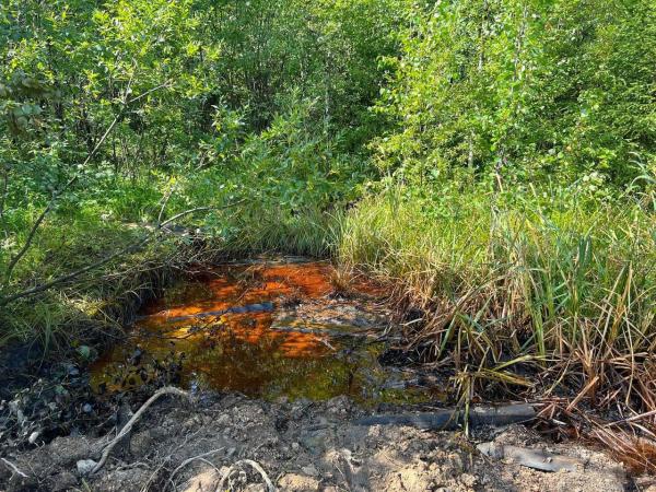 В Лысьвенском округе начата проверка по информации о разливе нефтепродуктов
