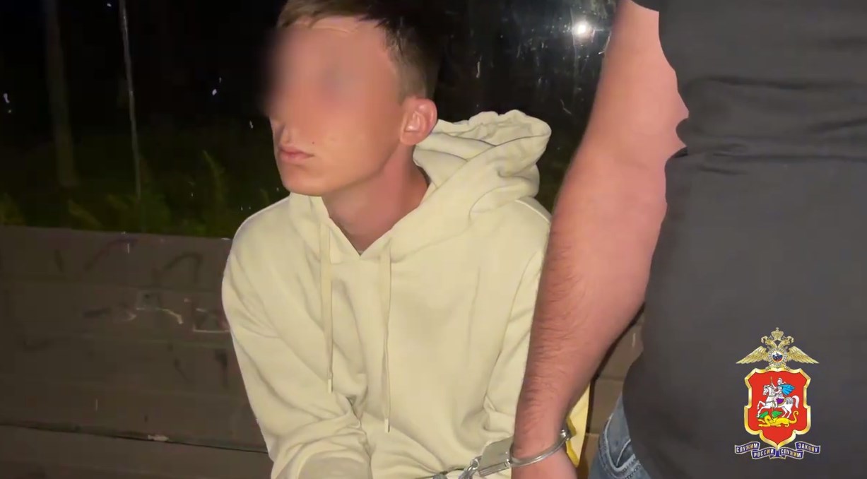 В&nbsp;Подмосковье задержали наркокурьера, который вёз запрещённые вещества в&nbsp;Пермь