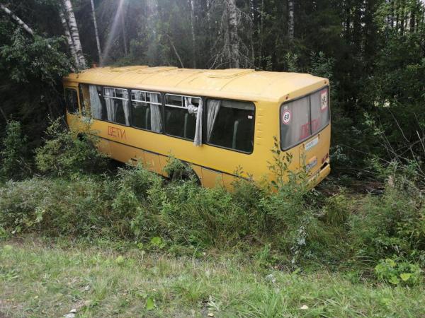 Водитель школьного автобуса, врезавшегося в дерево в Прикамье, уснул за рулём