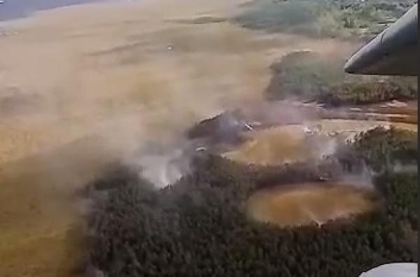 В Прикамье пожарные потушили лесной пожар рядом с природным заказником