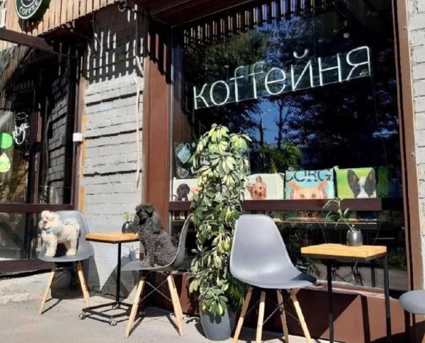 В Перми за 1,1 млн рублей продаётся дог-кофейня для посетителей с собаками
