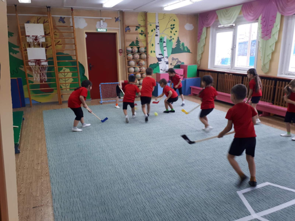 В сентябре в Прикамье начнутся новые занятия в рамках проекта «Детский сад хоккейных надежд»