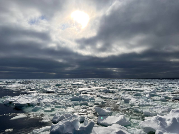 Учёные ПНИПУ: таяние льдов Арктики может оставить без дома миллионы людей