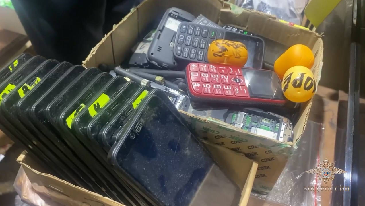 В Перми полиция задержала двух мужчин, сдававших в аренду мошенникам телефонные номера 