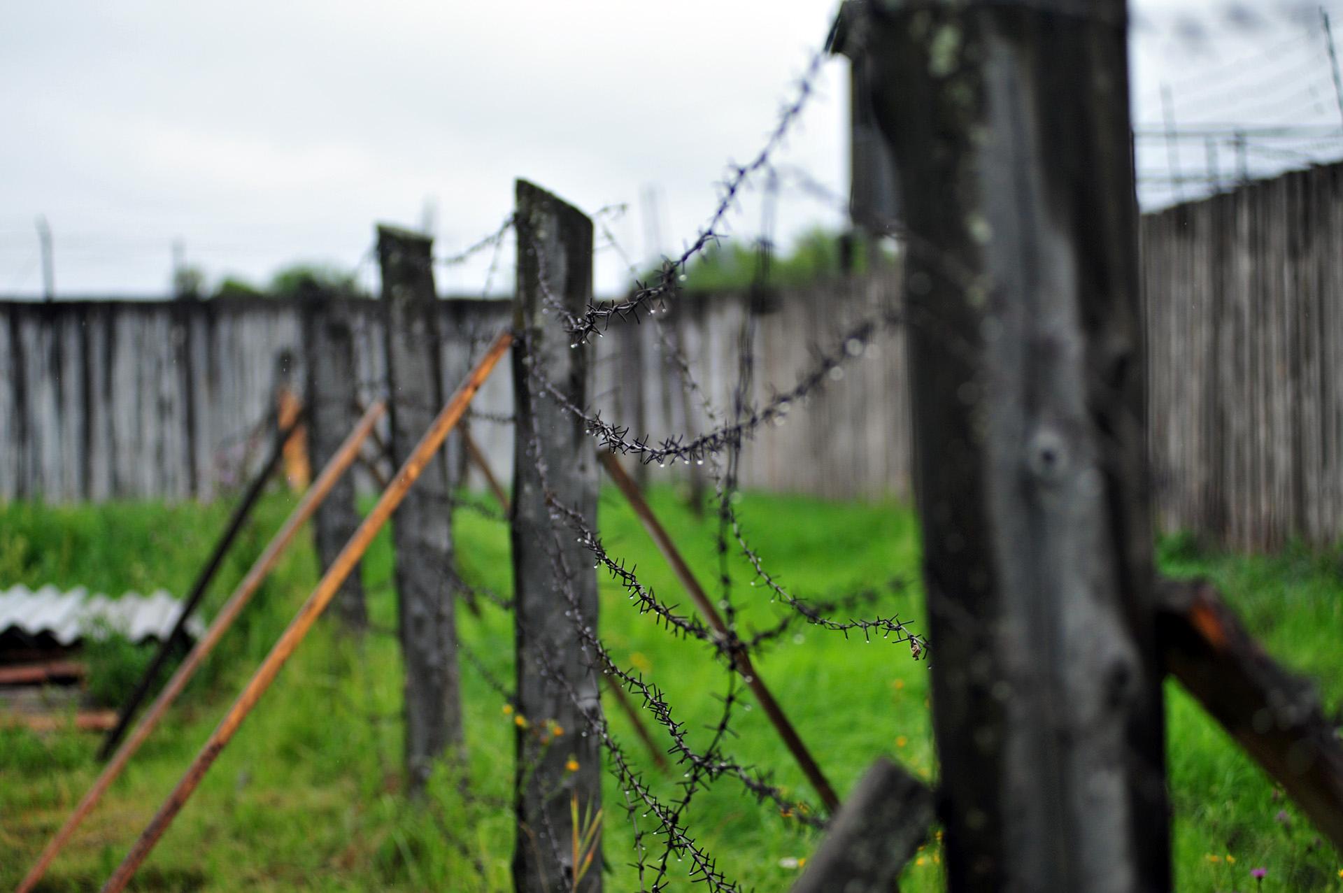 «Проведение «Пилорамы» на качественном уровне и без сокращения программы невозможно»