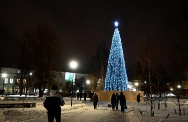 В Перми на новогодних елях начали зажигать огни