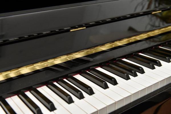 Заключён контракт на покупку роялей и пианино для Краевой музыкальной школы 