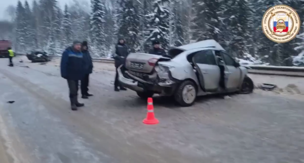 В Пермском крае на трассе погиб водитель иномарки