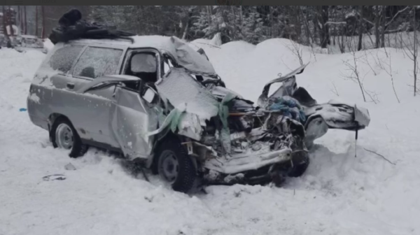 В Пермском крае в ДТП с грузовиком погиб пассажир легкового автомобиля