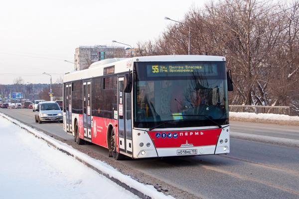 В Перми автобусы № 55 и № 61 будут ездить по-новому
