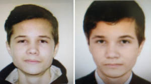 В Прикамье судебные приставы разыскивают близнецов