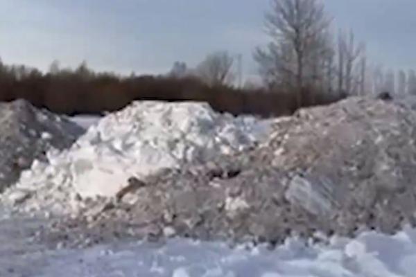 В Перми жители пожаловались на вторую несанкционированную свалку снега