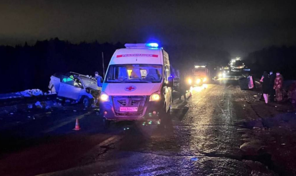 В Прикамье на трассе М7-Волга в ДТП погибли женщина и ребёнок