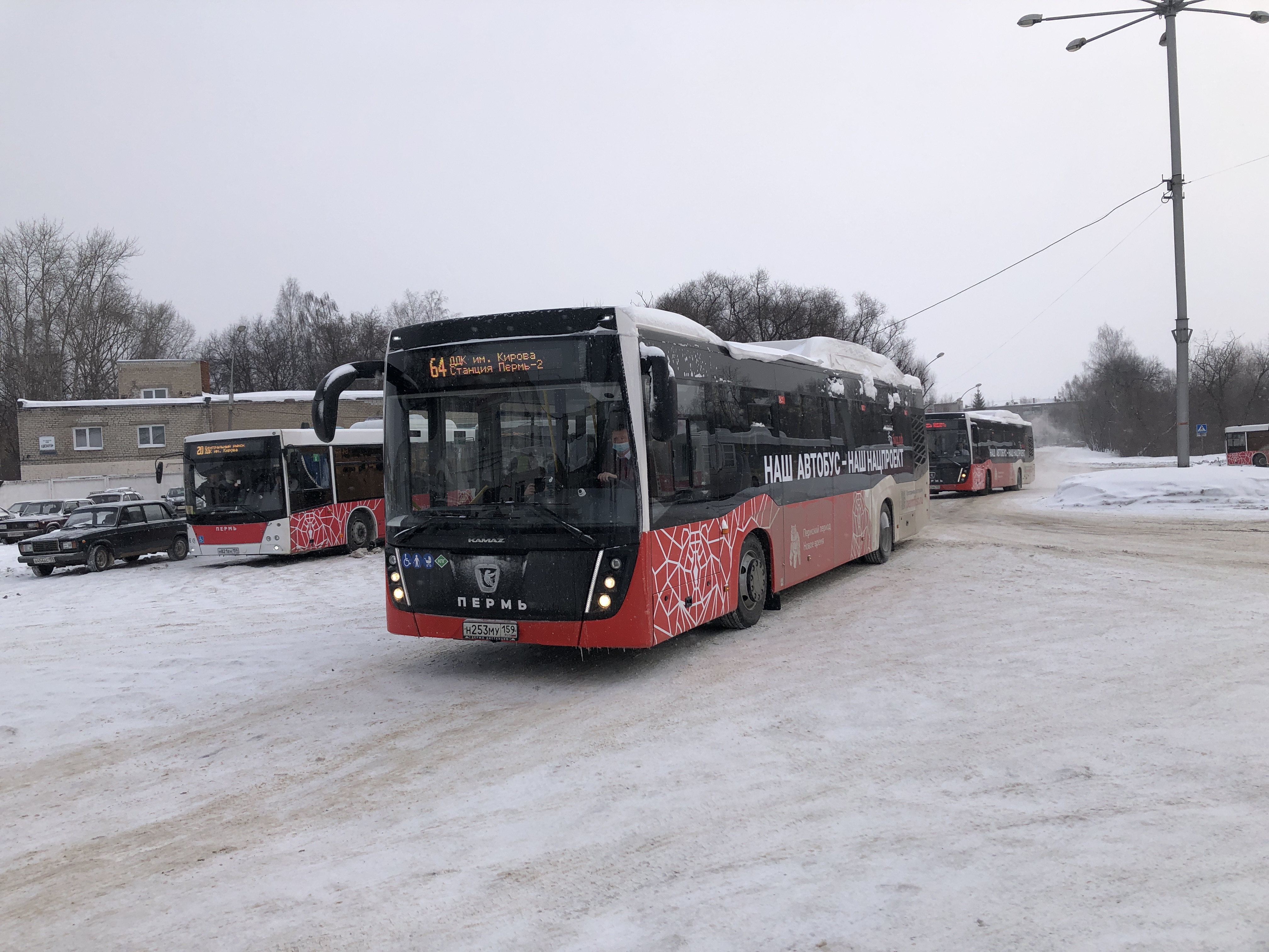 В Перми заработала новая версия приложения для оплаты проезда в общественном транспорте
