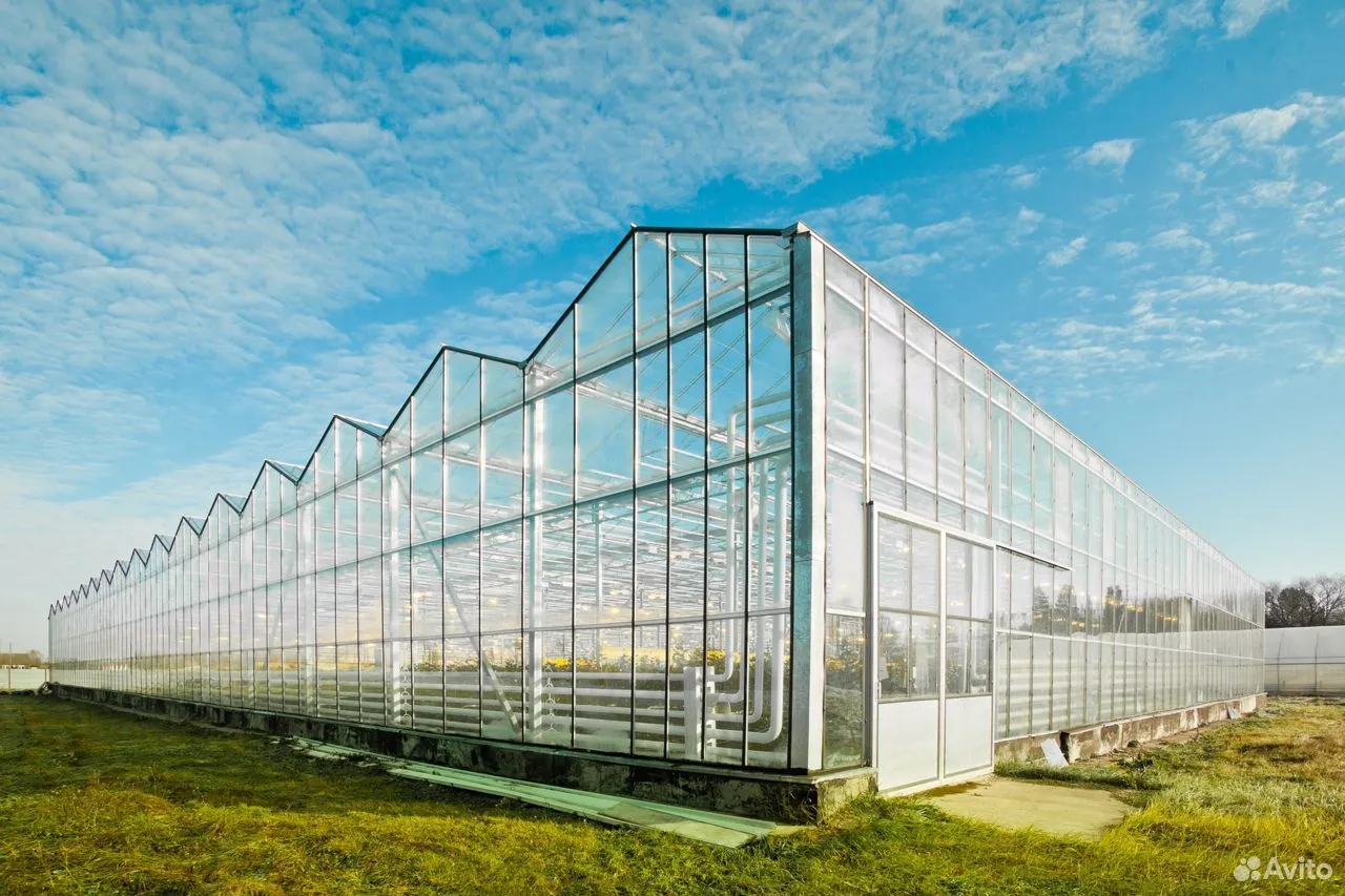 В Прикамье крупнейший розарий перешёл новому владельцу