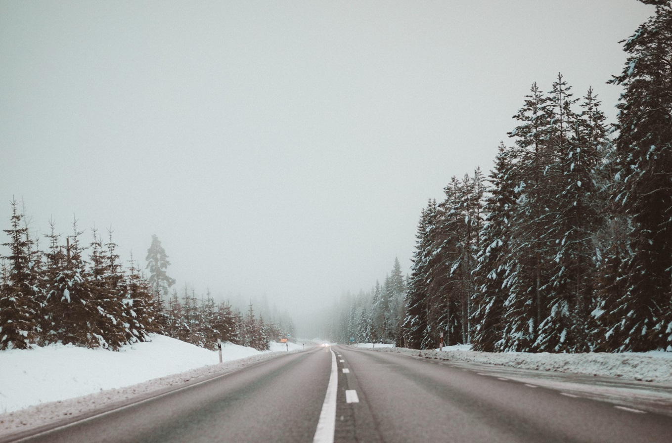 Для бизнеса в сфере автотуризма в Пермском крае предусмотрели субсидии