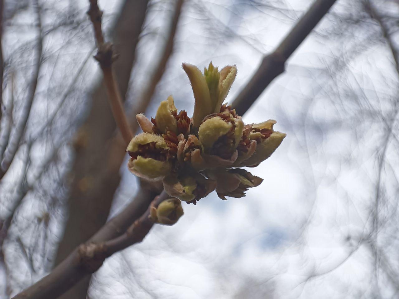 Синоптики прогнозируют летнее тепло в Пермском крае не раньше 15 мая