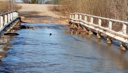 На многих реках Пермского края сформировались пики половодья 