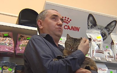 В Пермском крае спасённые из горящей печи кошки обрели дом