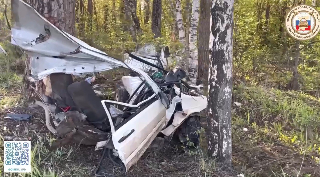 В Кировском районе Перми автомобиль врезался в дерево и разлетелся на части