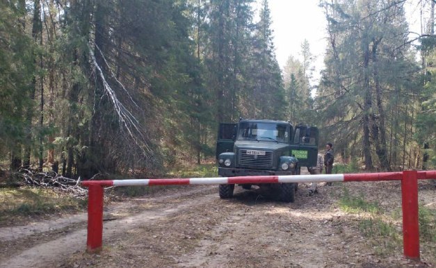 В лесах Прикамья ввели ограничения из-за высокой пожарной опасности