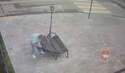 Пермская полиция ищет вандала, сломавшего арт-объект «Кошка на батарее»