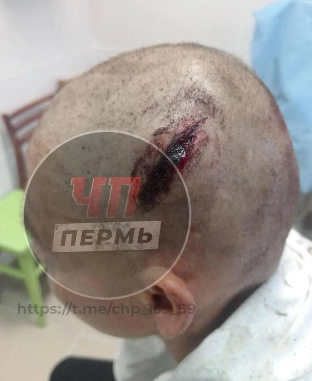 Житель Прикамья напал с топором на двух посетителей фестиваля «Зов Пармы» 