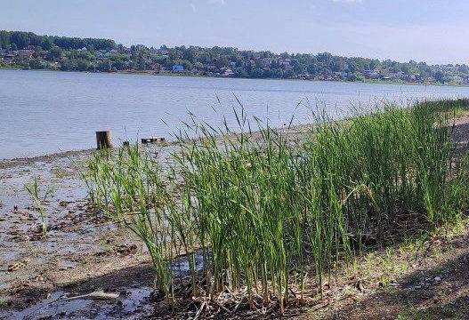 В Пермском крае перед судом предстанет обвиняемый в браконьерстве рыбак