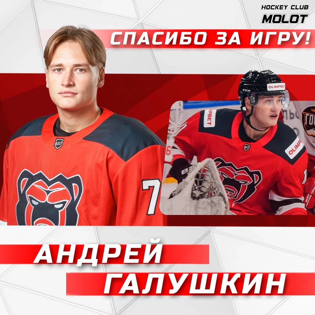 Пермский «Молот» расторг контракт с нападающим Андреем Галушкиным