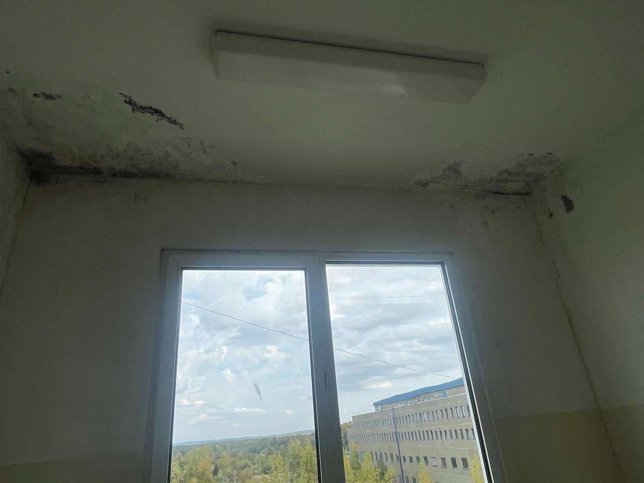 В Прикамье проверят детскую больницу после жалоб на клопов и плесень