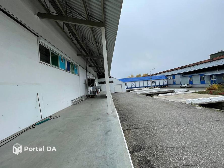 Имущество обанкротившихся владельцев пермской сети аптек продают за 229 млн рублей