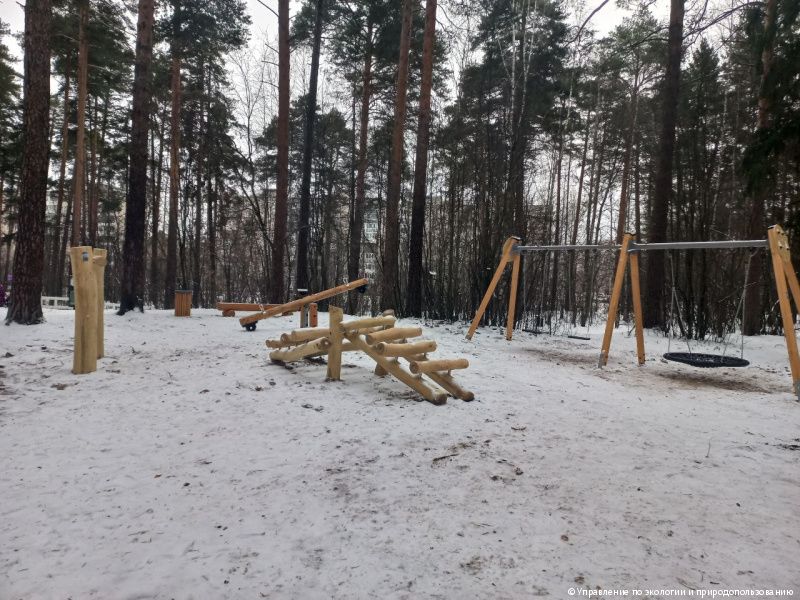 В Черняевском лесу Перми завершили реновацию места отдыха «Чаша»