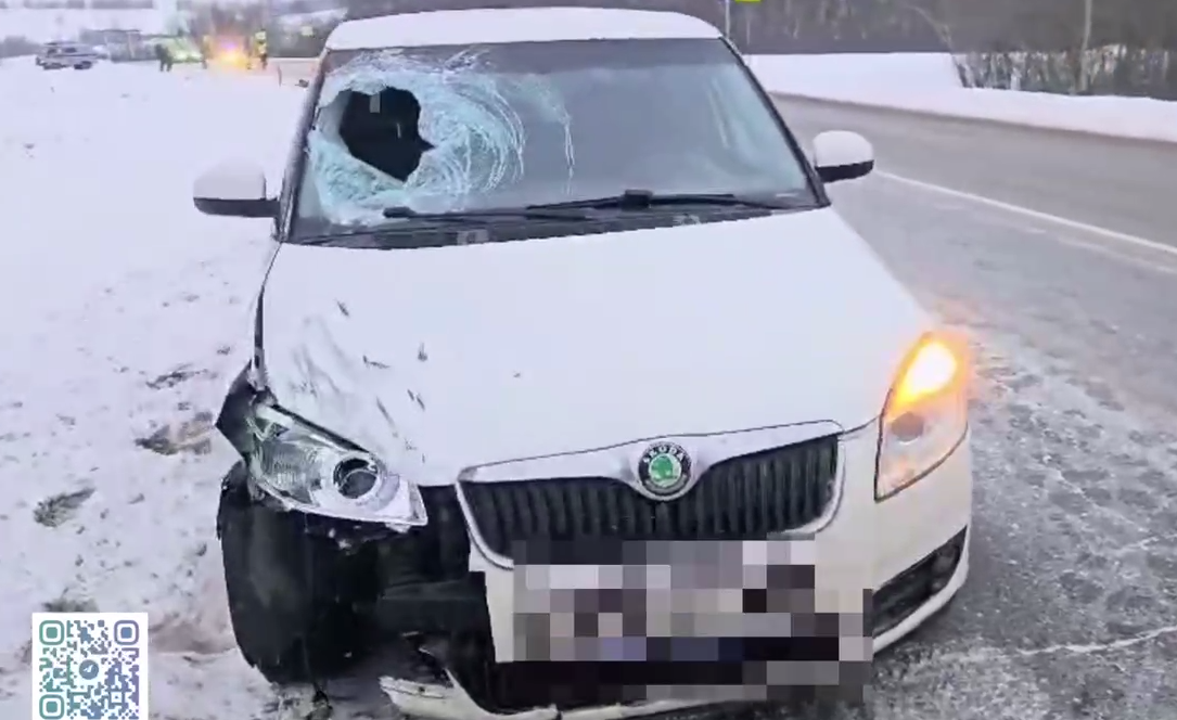 На юге Прикамья насмерть сбили 92-летнего пешехода