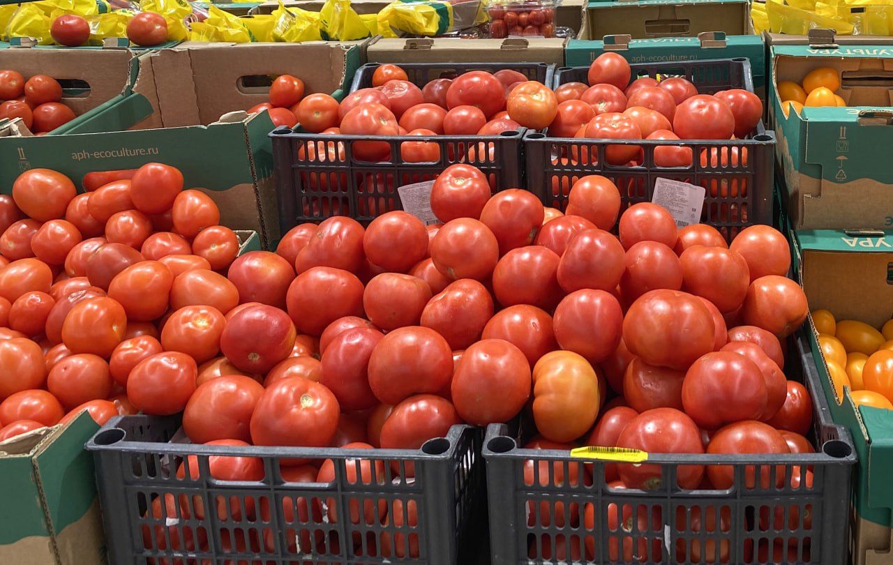 С начала этого года в Прикамье поступило 669 тонн томатов из Казахстана